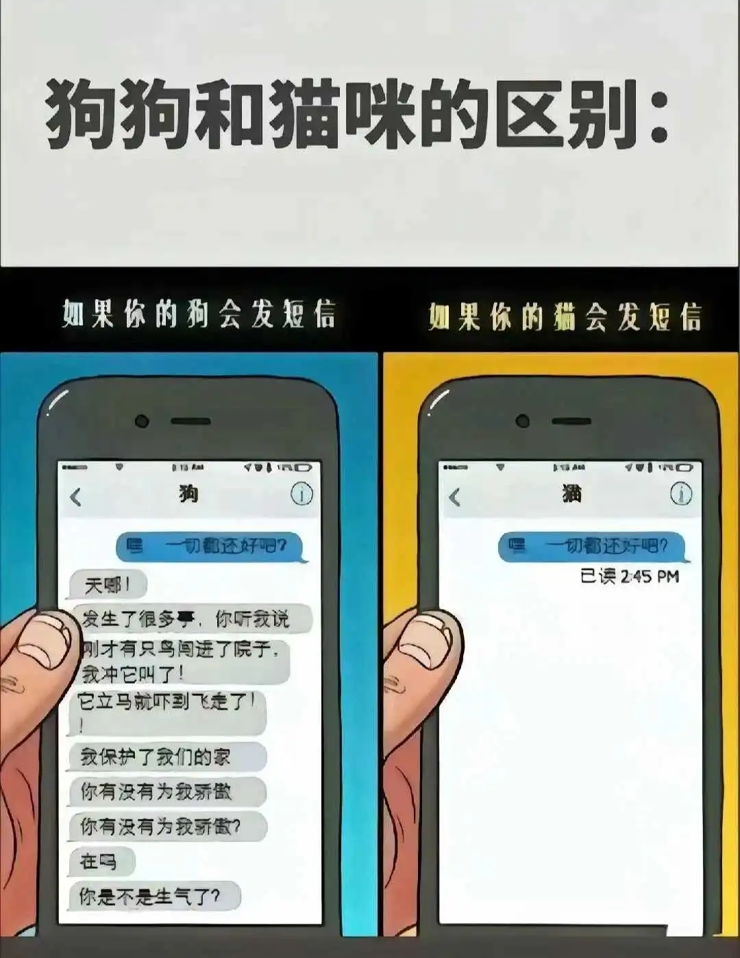 西檬之家Sp是什么意思？字母圈新人入圈 一