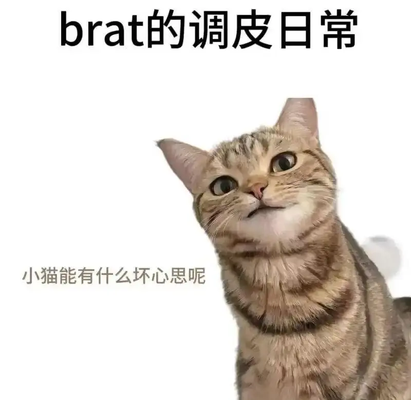 西檬之家sp小圈入门指南 一