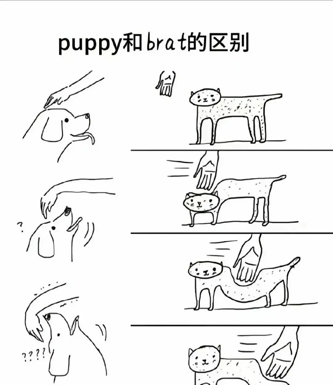 西檬之家sm亚文化新人指南 一