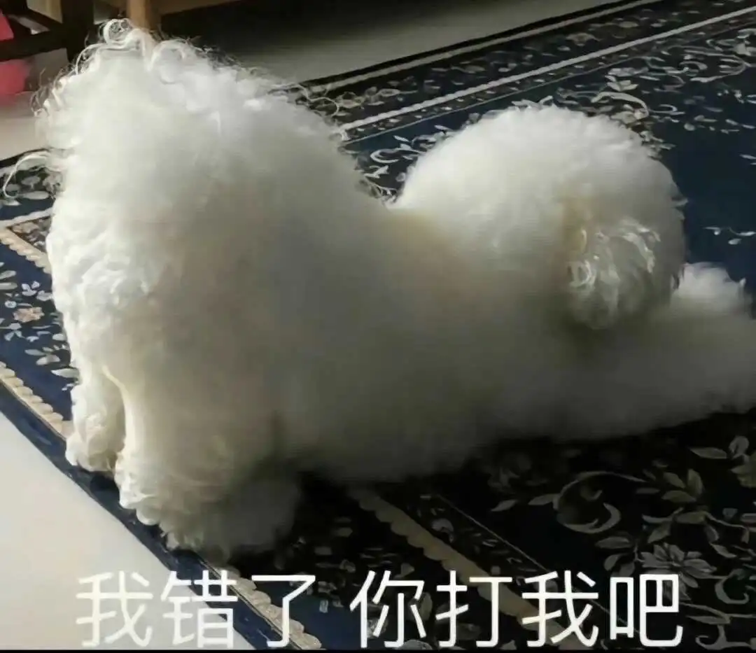 西檬之家BDSM入圈指南 一