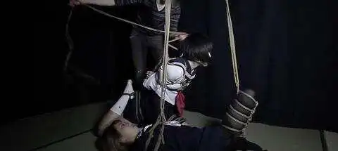 西檬之家字母圈的sub是什么意思？ 一