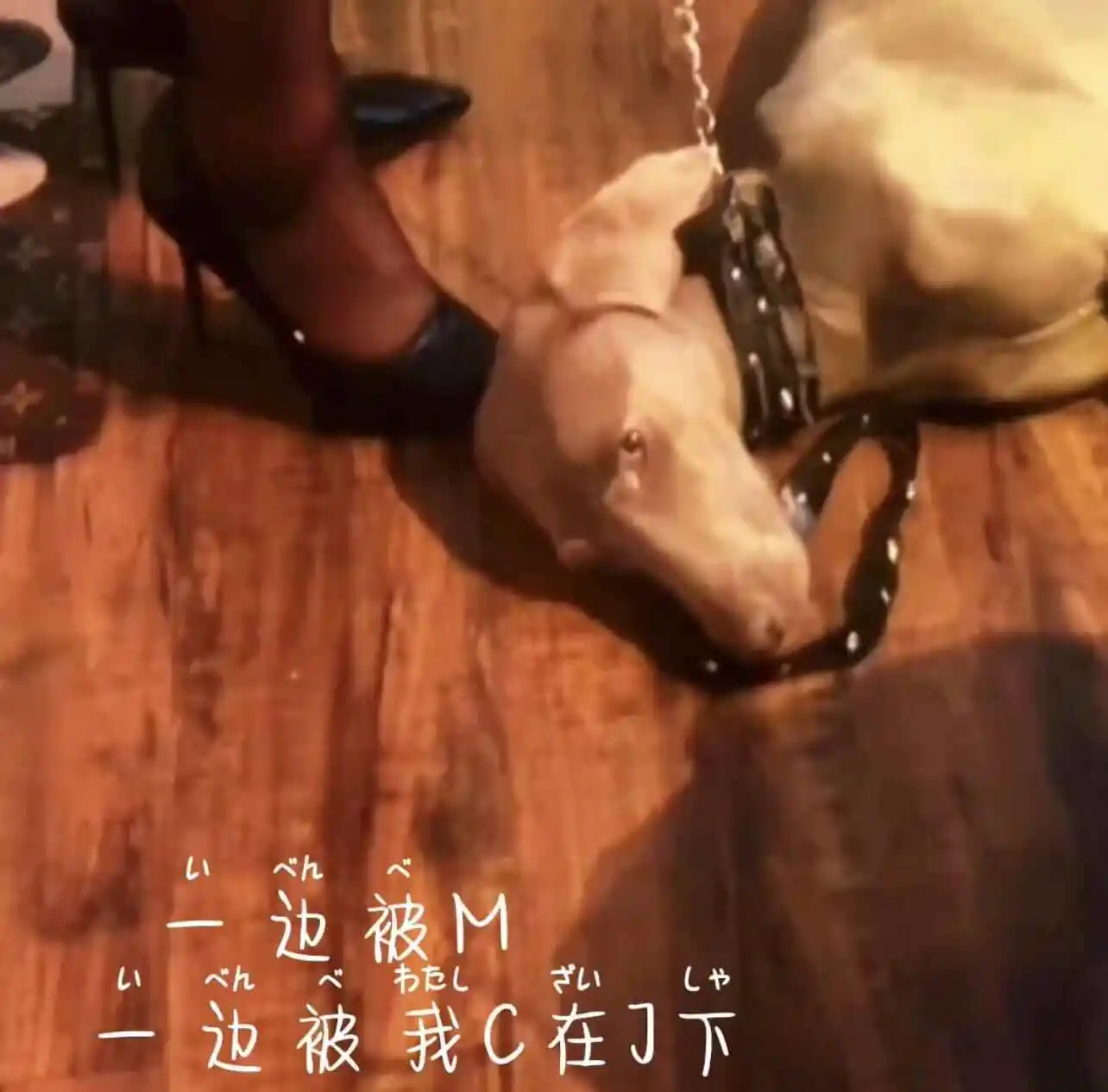 西檬之家DS关系入门指南 一