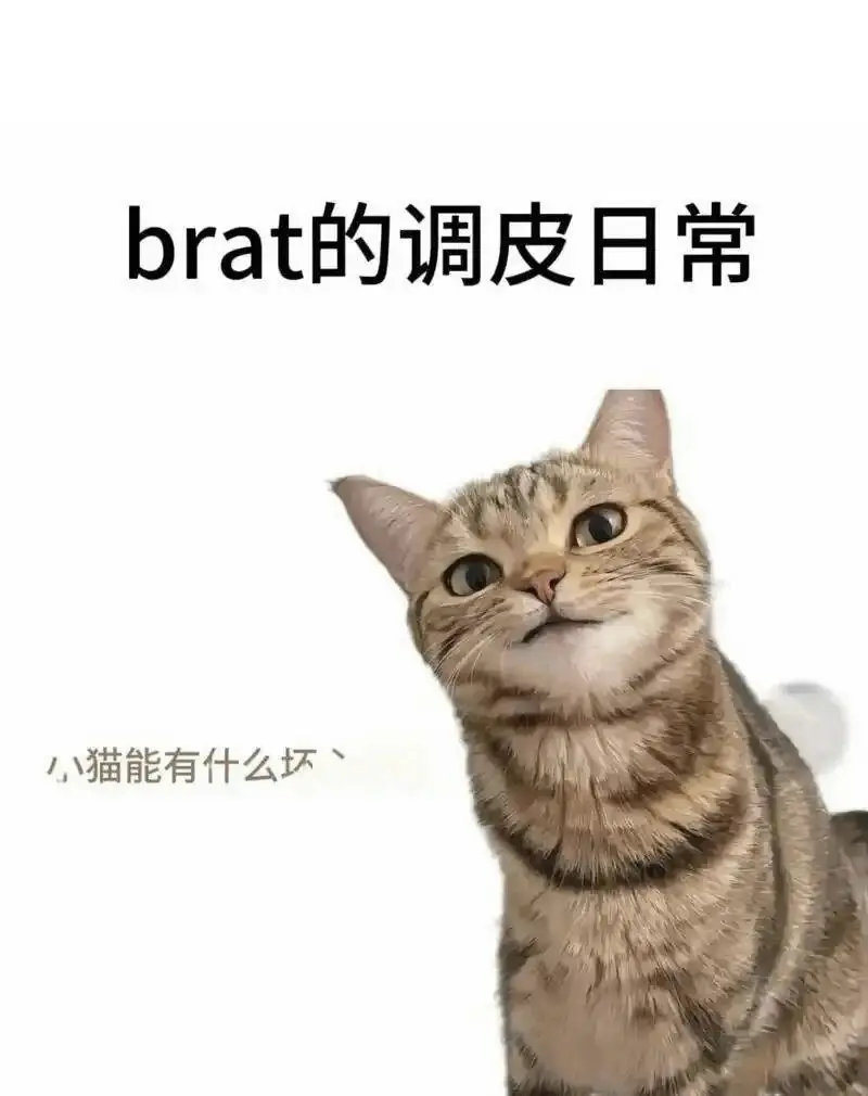 西檬之家BDSM入圈必读：新手如何开启这段旅程？ 一