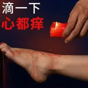 西檬之家brat属性是什么？你是字母圈的Brat吗 一