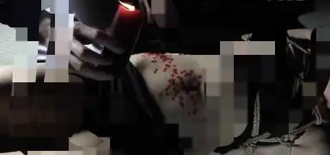 西檬之家字母圈中的s属性是什么？ 一