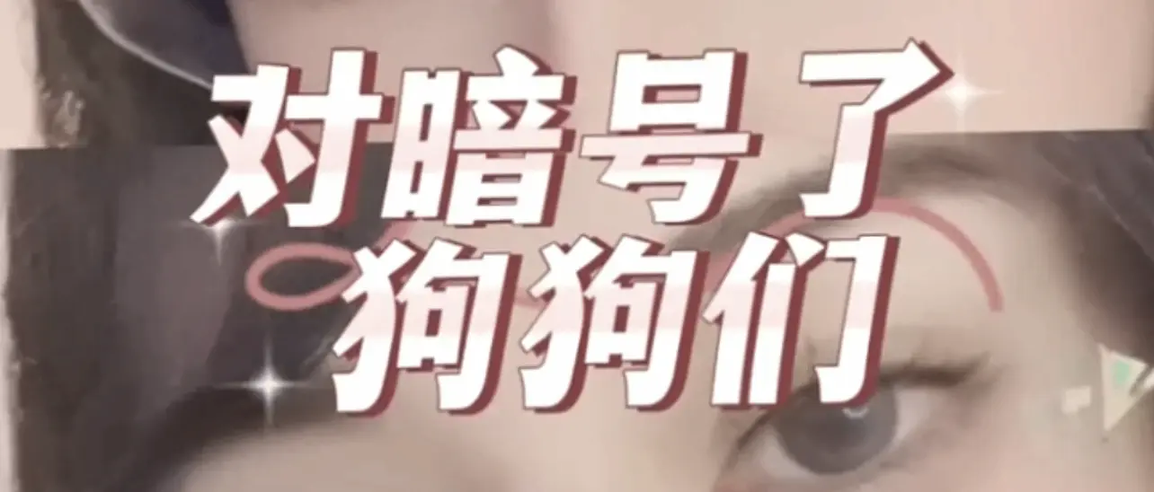 西檬之家字母圈女王的权力边界 一