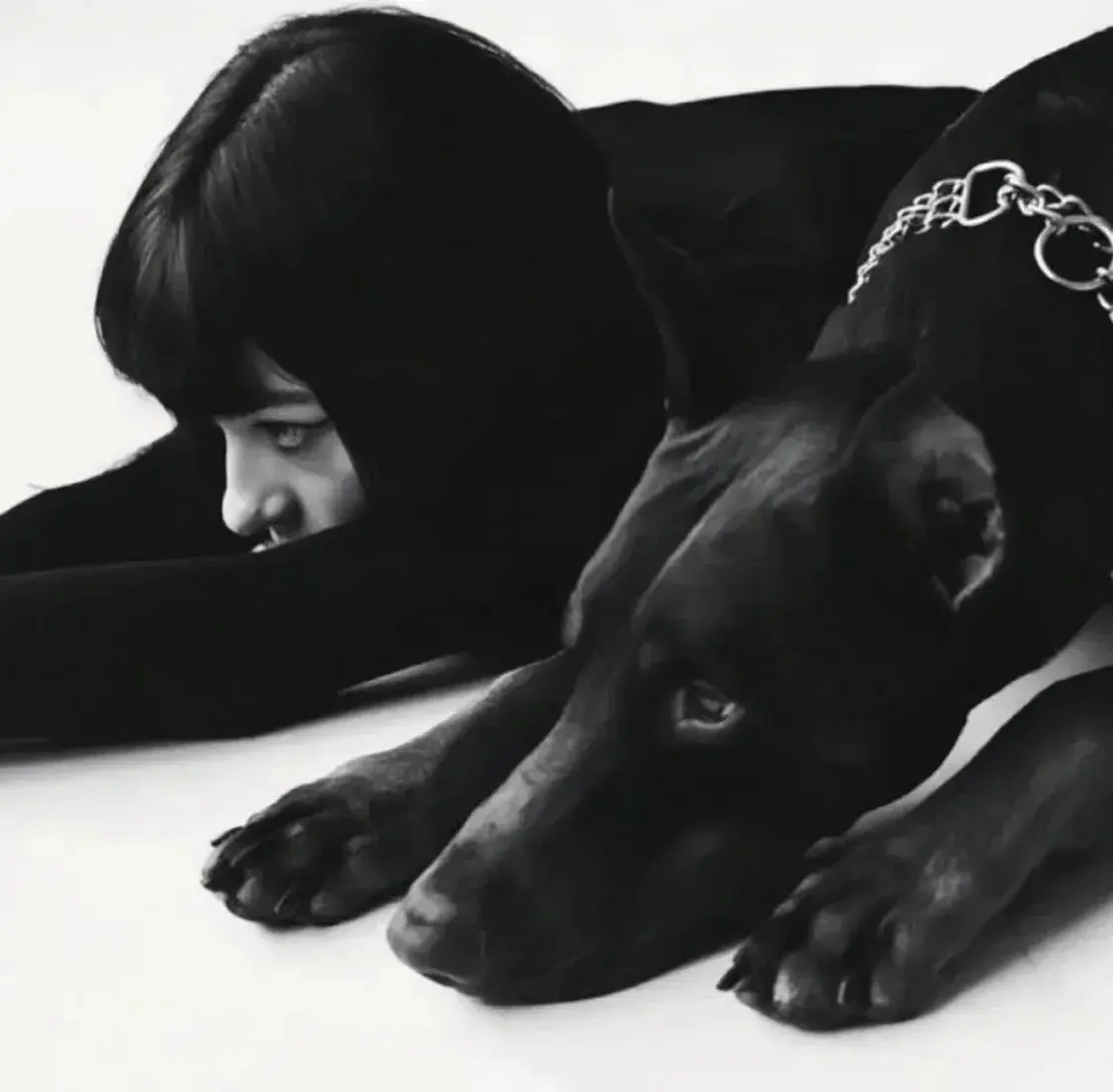 西檬之家k8是什么？ 一