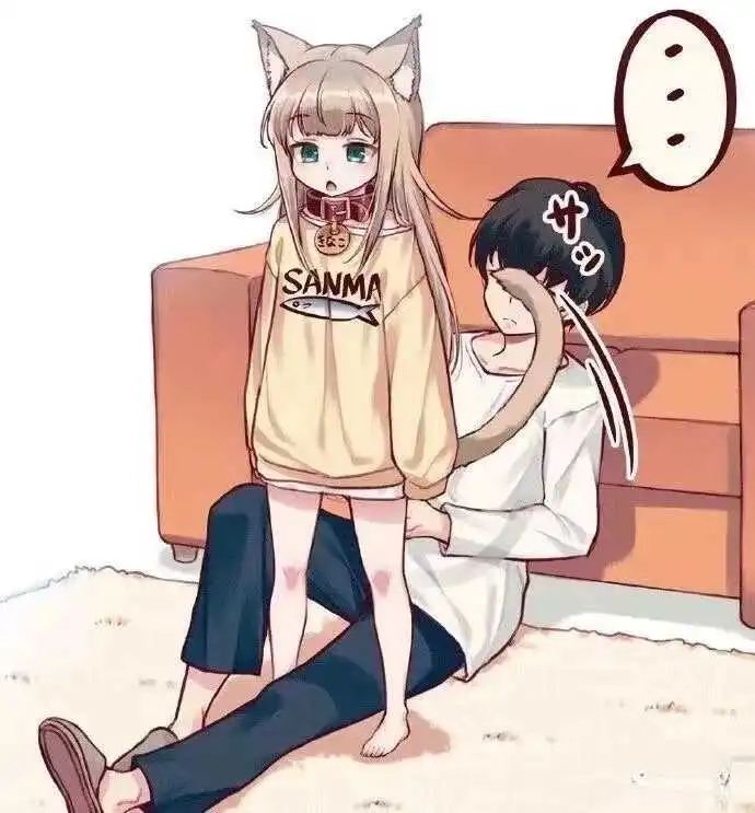 西檬之家s属性是什么意思？ 一