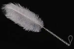 西檬之家k9是什么? 一